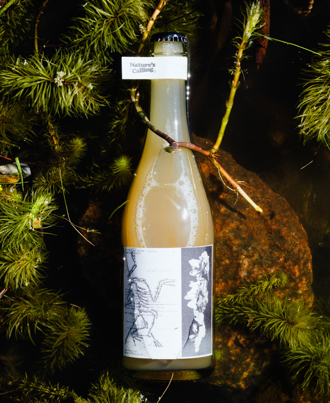 Arc'teryx Pet Nat Edition