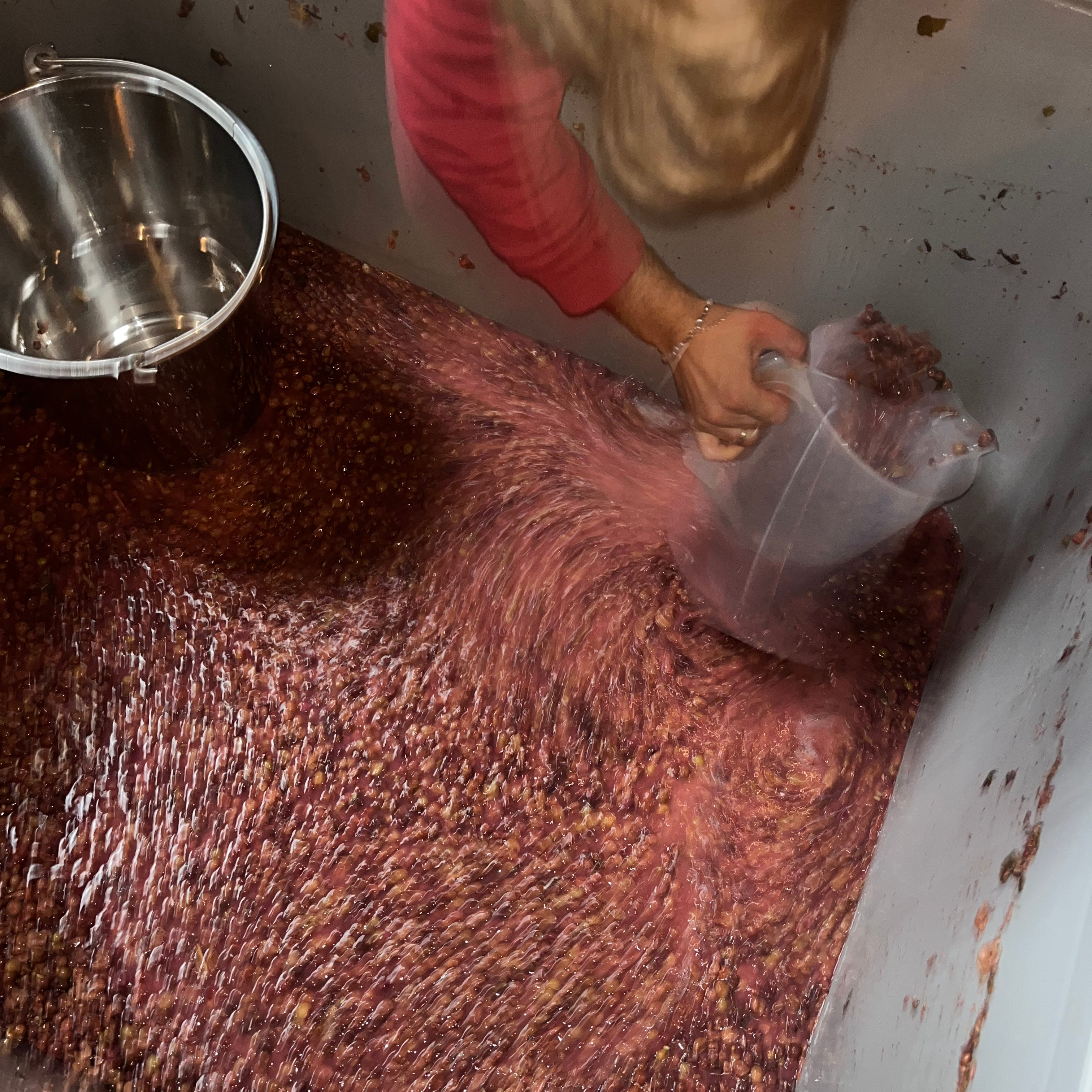 Berlin Winery SPECIAL - Tour und Weinprobe mit Sebastian Höpfner (Headsommelier Rutz***)